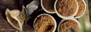 Muffiny razowe z dynią