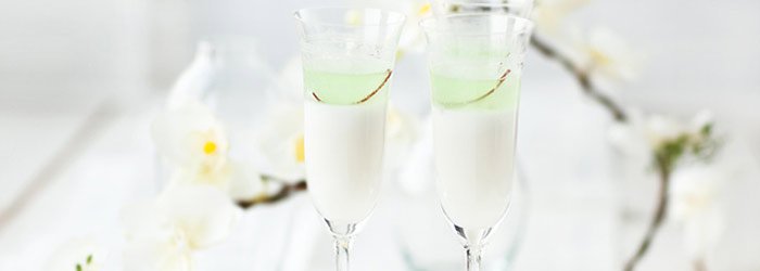 Panna cotta kokosowa