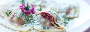 Ravioli z botwinką z sosem koperkowym