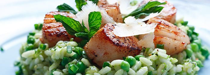 Risotto z zielonym groszkiem, miętą i przegrzebkami