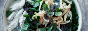 Vietnamese Broth with Chicken and Omelet