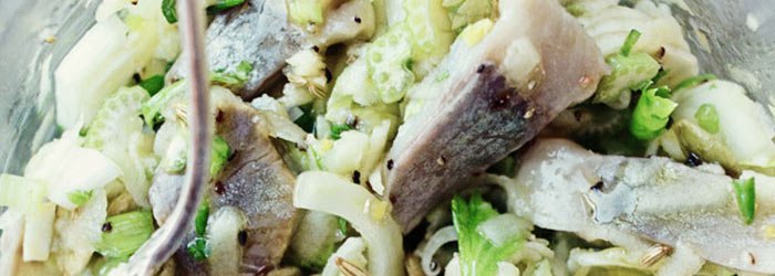Herring salad with fennel, apple and celery