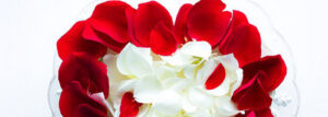 Tort “American Beauty”