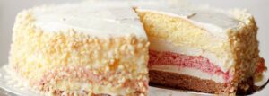 Tort budyniowy