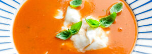 Fresh Tomato Cream Soup
