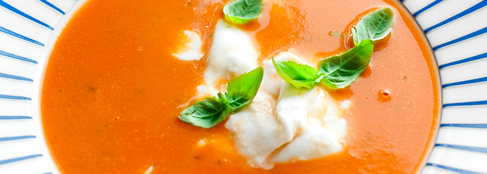 Fresh Tomato Cream Soup